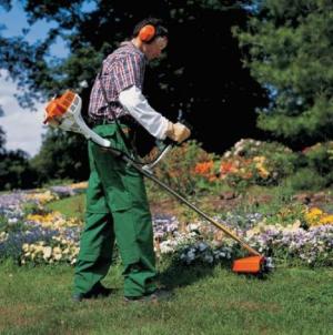 DESMALEZADORA STIHL FS 55 + CAB 2 PTAS (2919)
